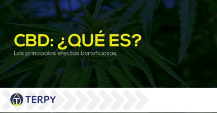 CBD qué es