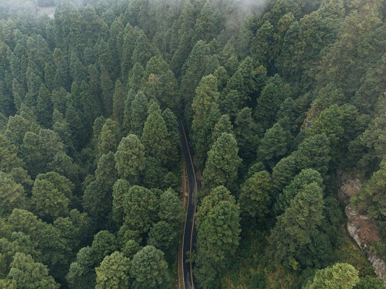 Reducción del impacto ambiental